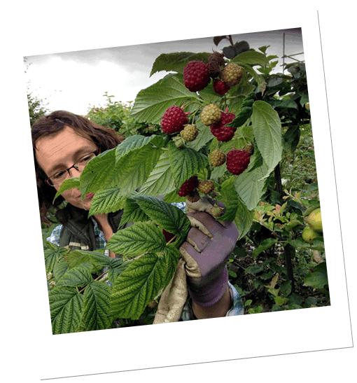 Your Gardening Angels - Sevenoaks Gardening Services